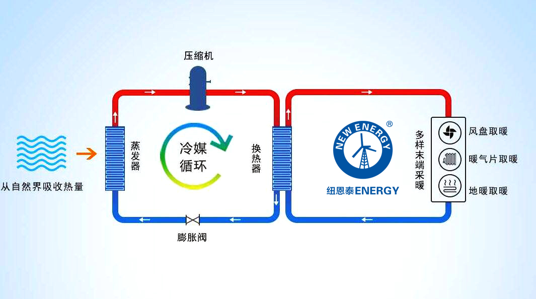 20250210164223223 首页- TapTap点点体育官方网站